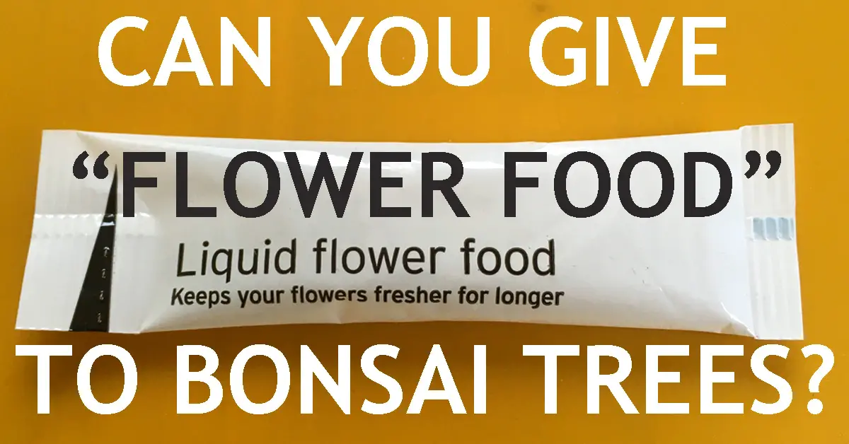 Can You Give "Flower Food" To Bonsai Trees? Back Garden Bonsai