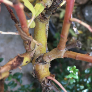 node 1