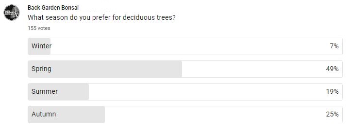 Understanding How Trees Grow Through The Seasons - A Simple Explanation To Help With Bonsai. 6 what season do you preder for decidious tress