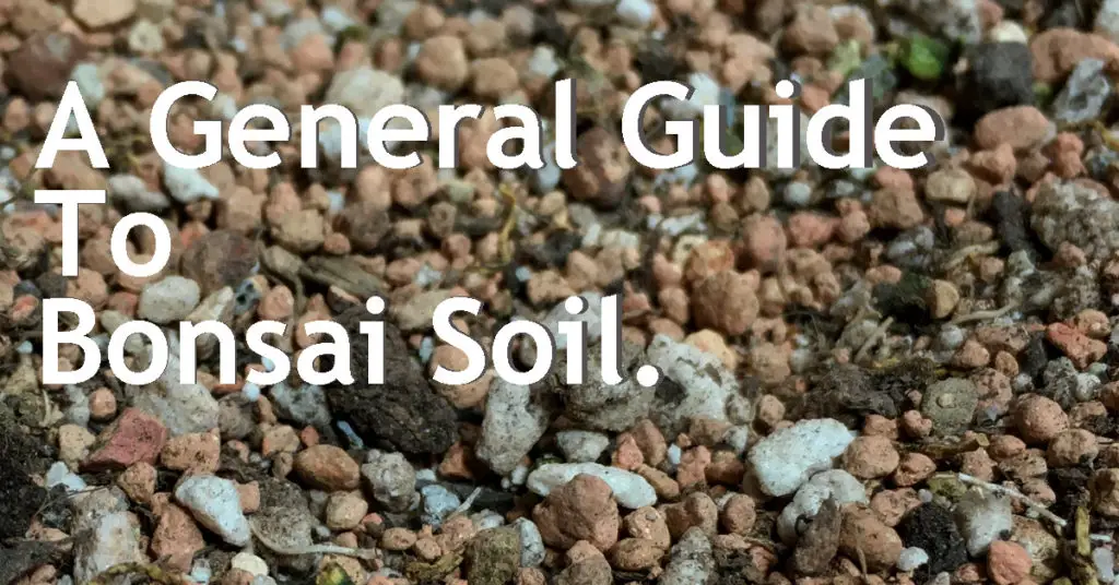 a guide to bonsai soil