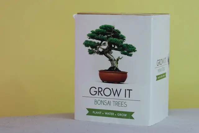grow it bonsai kit
