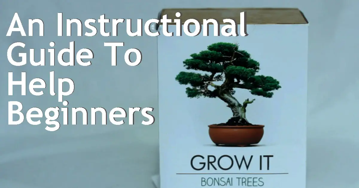 An Instructional Guide To Help Beginners With The “Grow It Bonsai Kit” Back Garden Bonsai