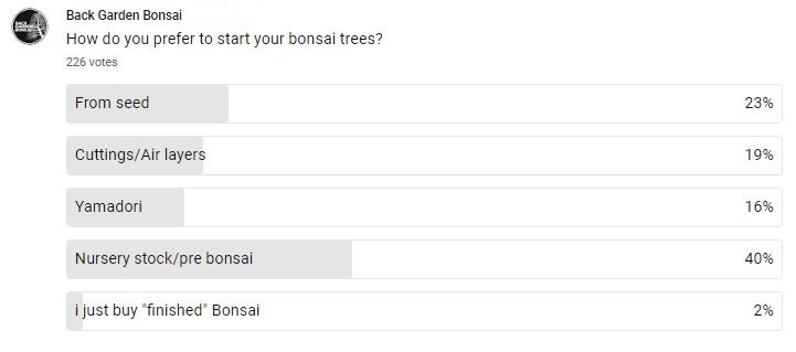 how do you prefer to start your bonsai trees