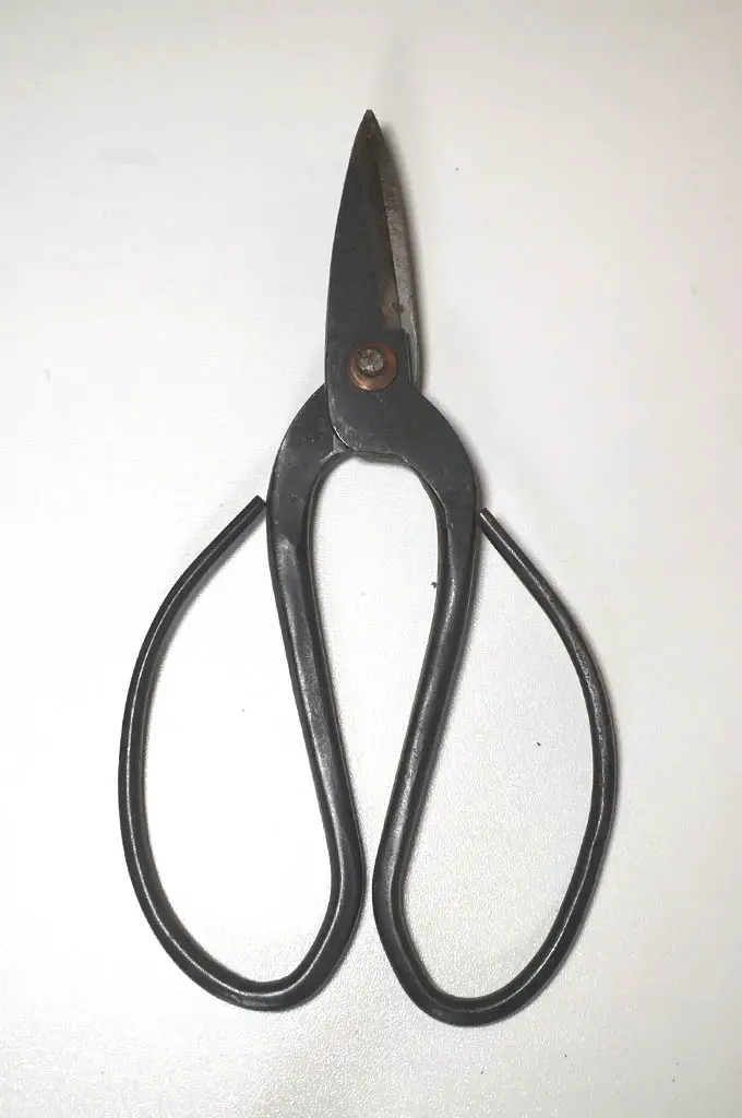 A Guide To Beginner Bonsai Tools Back Garden Bonsai