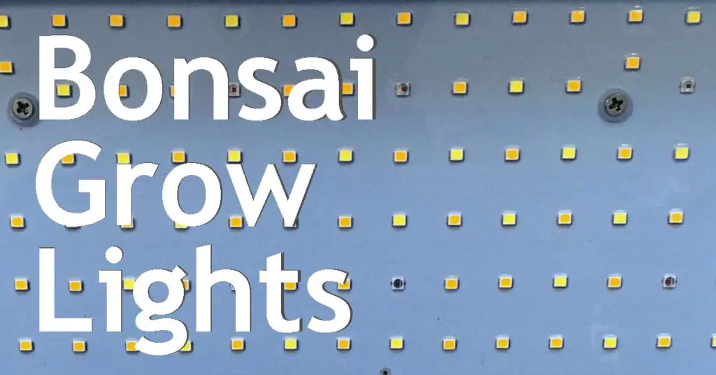 Bonsai Grow Lights 15 bonsai grow lights