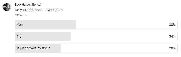 do you add moss to your pots