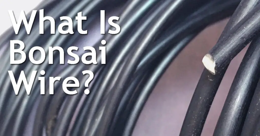 What Is Bonsai Wire? 5 What Is Bonsai Wire