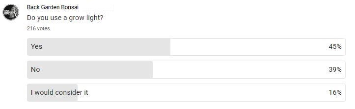 Do You Need A Grow Light For Your Bonsai? 3 do you use a grow light