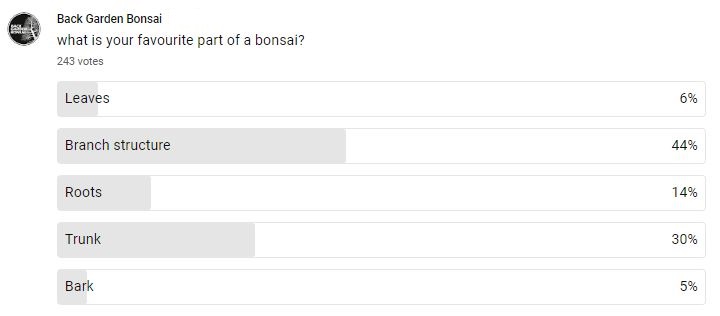 what is your favourite part of a bonsai