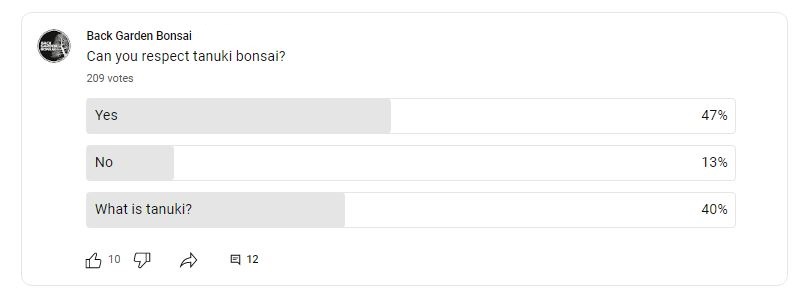 What Is A Tanuki Bonsai? 1 Can you respect tanuki bonsai