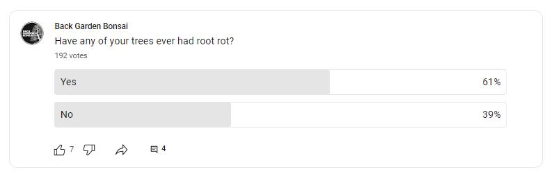 have any of your trees had root rot