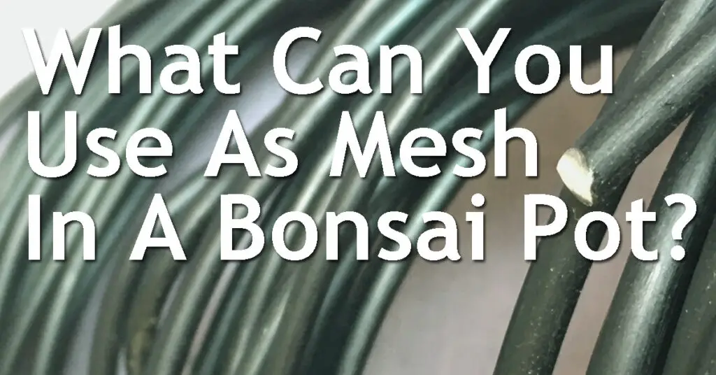 What Can You Use As Mesh In A Bonsai Pot? 17 What Can You Use As Mesh In A Bonsai Pot
