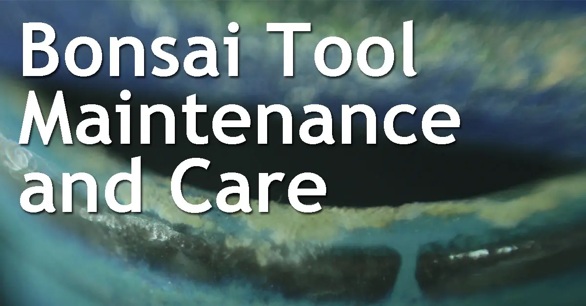 Bonsai Tool Maintenance and Care Back Garden Bonsai