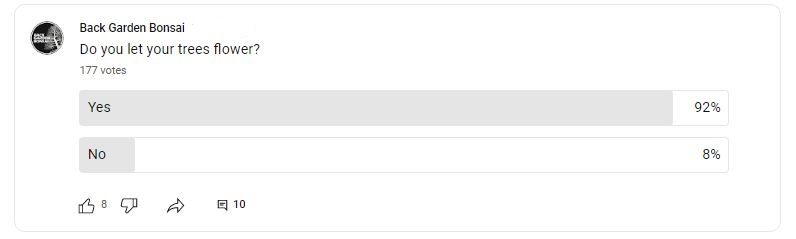 Do Bonsais Produce Flowers? 1 Do you let your trees flower