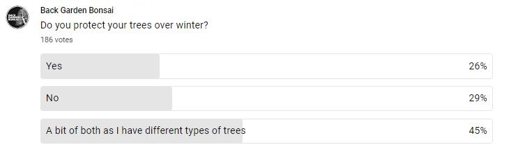 do you protect your trees over winter
