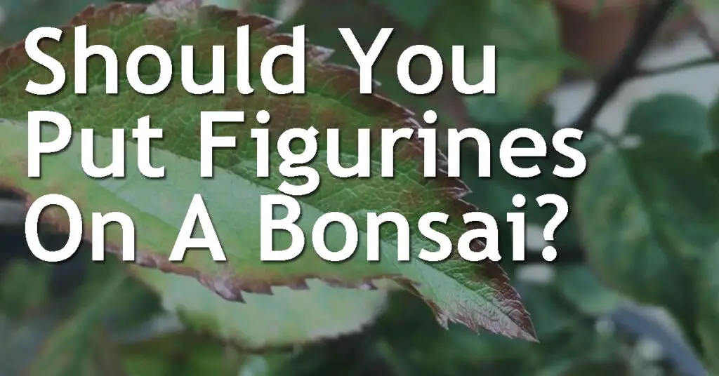 Should You Put Figurines On A Bonsai? 15 Should You Put Figurines On A Bonsai