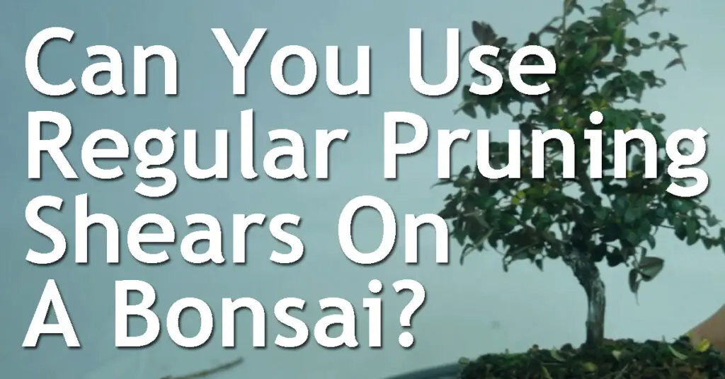 Can You Use Regular Pruning Shears On A Bonsai Or Do You Need Bonsai Tools