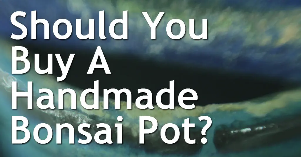 Should You Buy A Handmade Bonsai Pot? 5 Should You Buy A Handmade Bonsai Pot