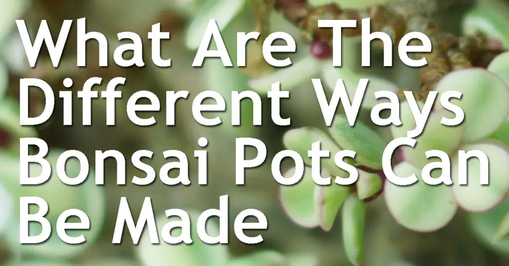 What Are The Different Ways Bonsai Pots Can Be Made (Shaping Pots By Hand vs Factory Made) 7 What Are The Different Ways Bonsai Pots Can Be Made Shaping Pots by Hand vs Factory Made
