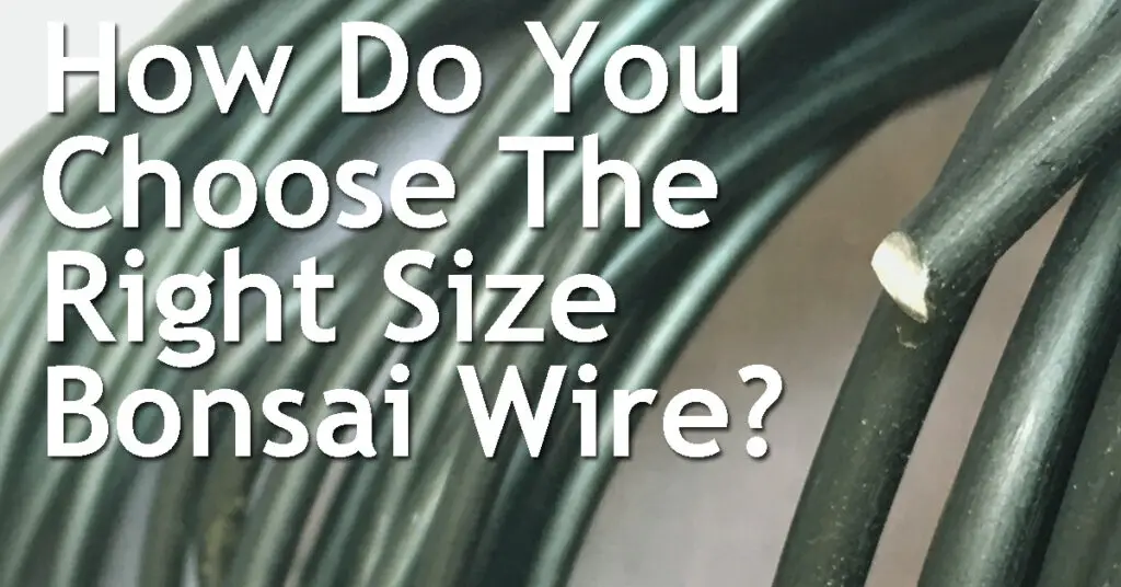 How Do You Choose The Right Size Bonsai Wire? 19 How Do You Choose The Right Size Bonsai Wire