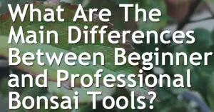 What Are The Main Differences Between Beginner and Professional Bonsai Tools