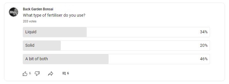 Frequently Asked Questions About - Watering Bonsai 1 what type of fertiliser do you use